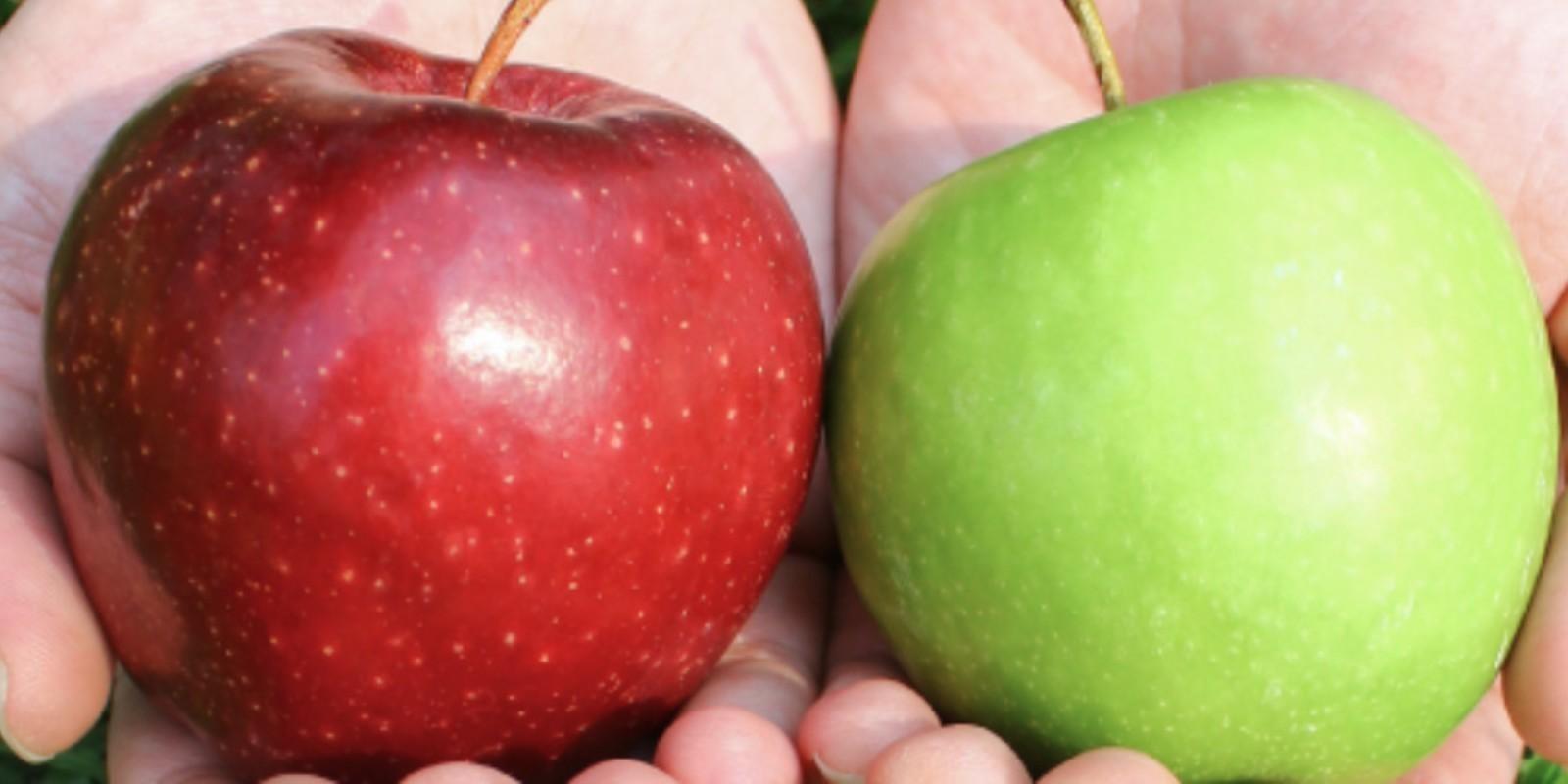 La Importancia del Marketing: Cuando el Marketing Supera a la Calidad del Producto